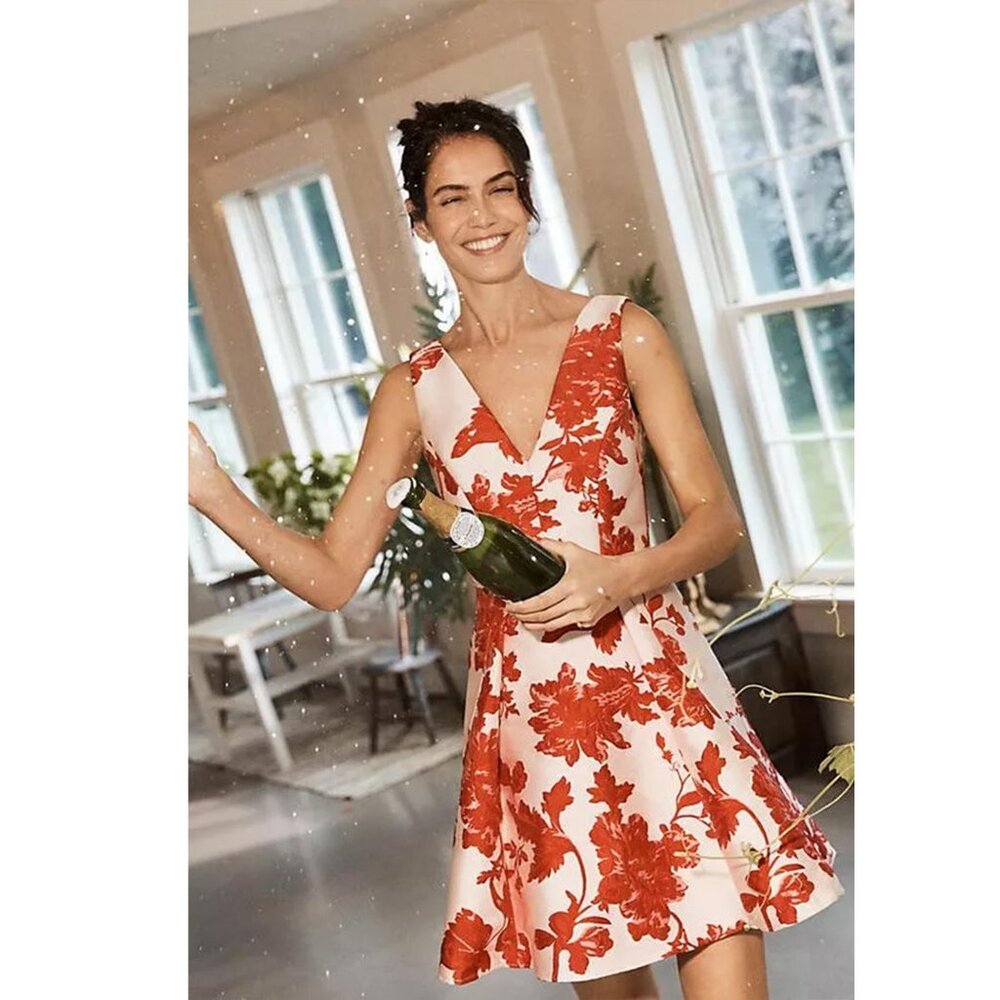 Anthropologie - Eva Franco jacquard dress: size 10P